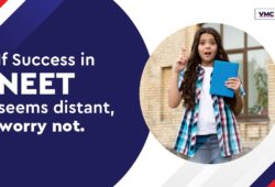 preparation for NEET 2023